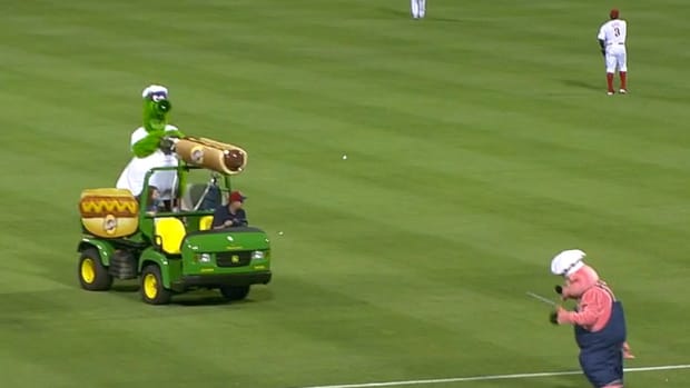 Phillie Phanatic pelts pig 